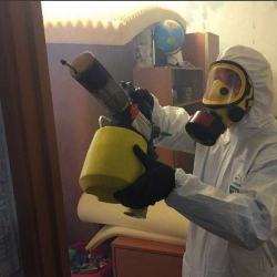 Уничтожение клопов в квартире. Геленджик